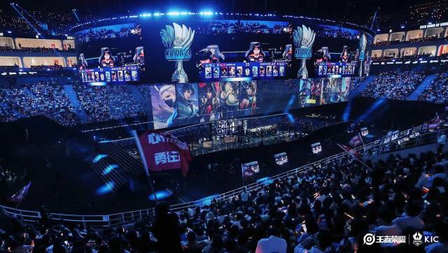 化观赛体验 化观赛体验