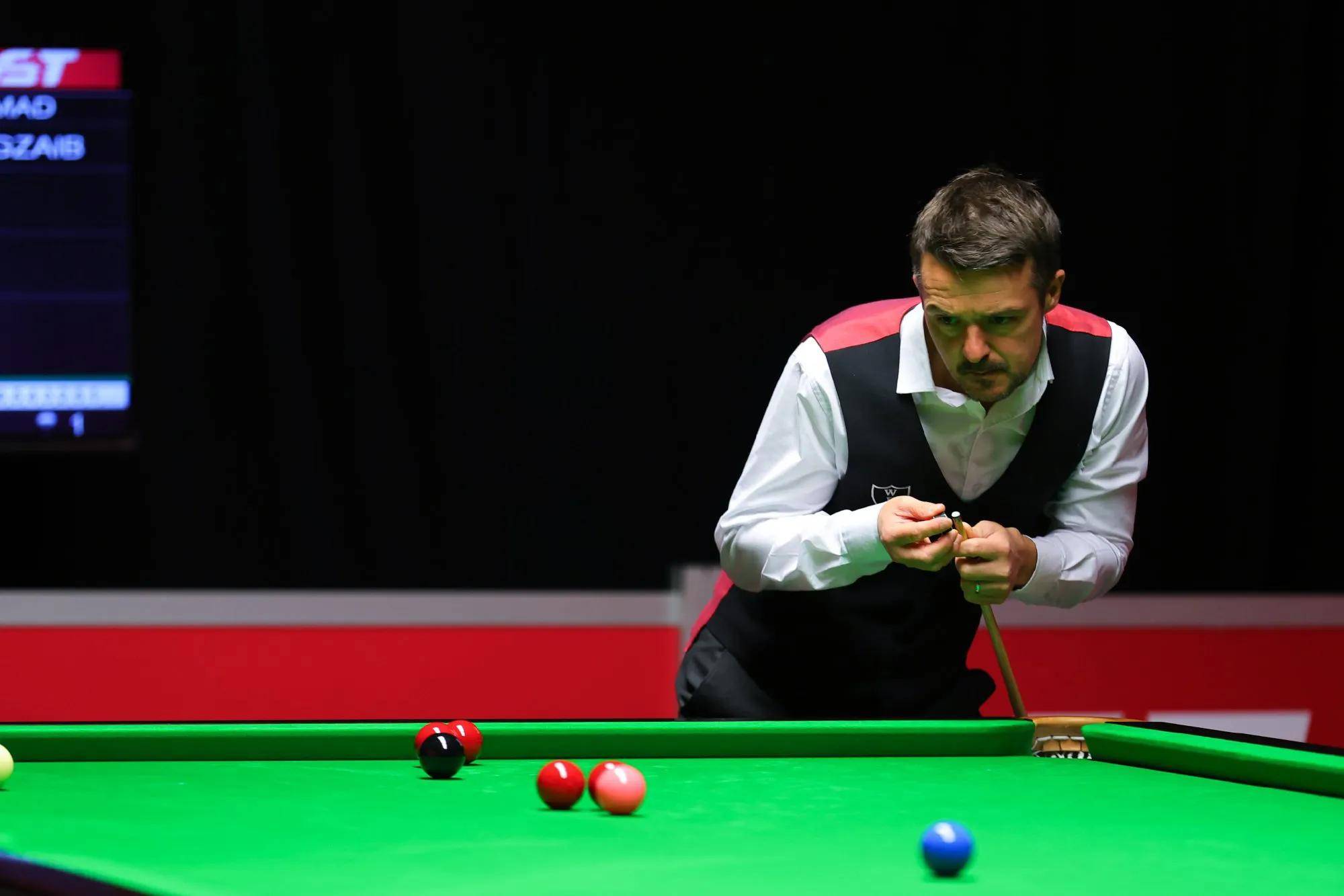 动物形象不 动物形象不