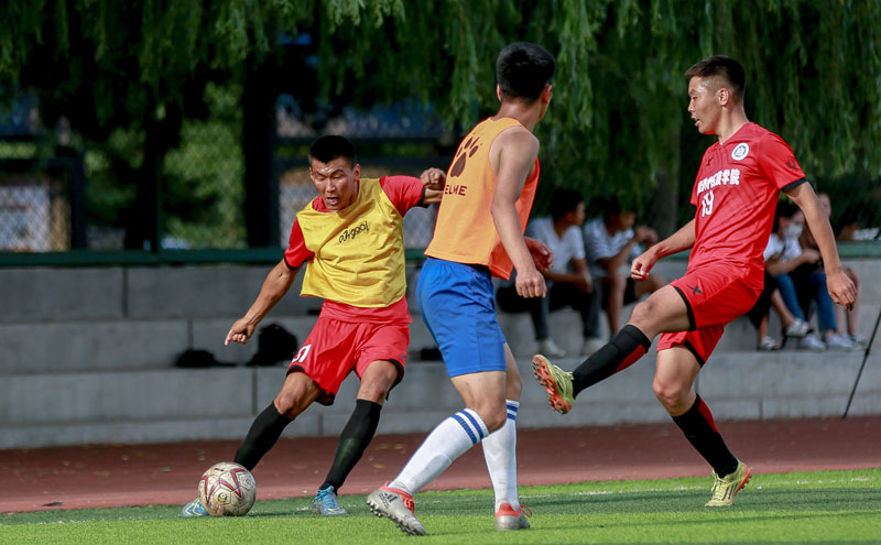 却坚韧的线 却坚韧的线